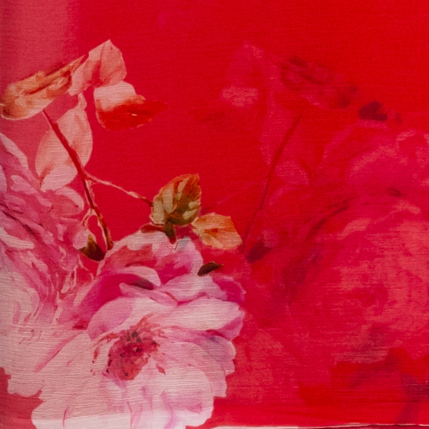 Chiffon Saree(TMRSAREE018)