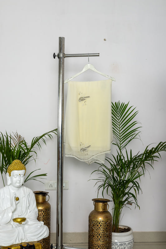 Chiffon Saree(TMRSAREE008)