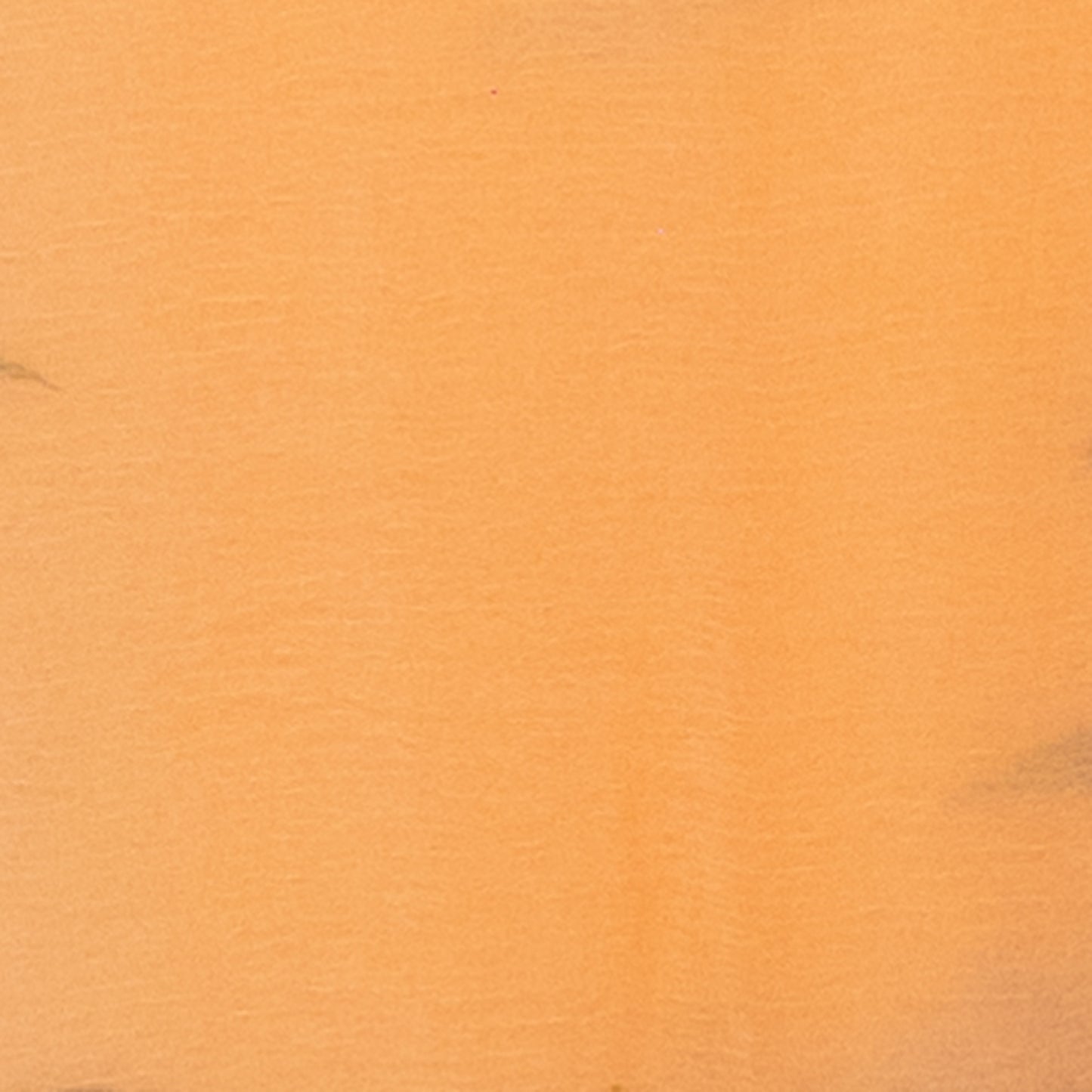 Chiffon Saree(TMRSAREE012)