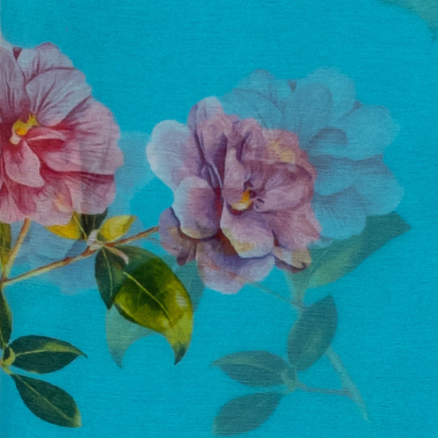 Chiffon Saree(TMRSAREE017)