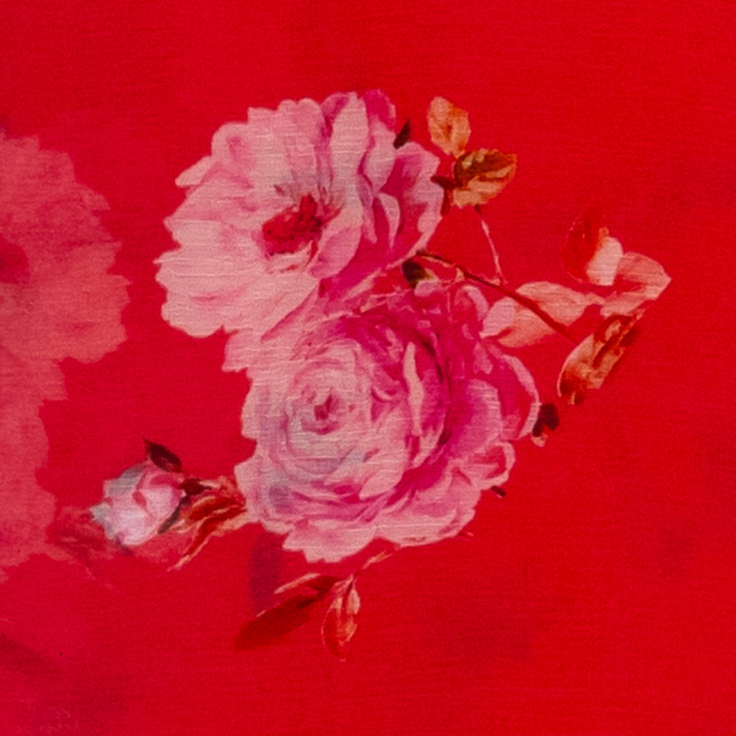 Chiffon Saree(TMRSAREE018)